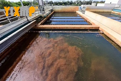 b831e528352b62147b737985ec06a8f (2)